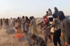 إعدام 35 مدنيا على يد "داعش" حاولوا الفرار من الفلوجة<font color=red size=-1>- عدد المشاهدین: 1328</font>