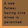 A new Fatwa: having 9 wives is permitted!<font color=red size=-1>- Count Views: 3171</font>