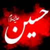 Why did Imam Hussein (peace be upon him)  stand against yazid although he knew he would be martyred?<font color=red size=-1>- Count Views: 3111</font>