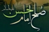 معاویہ کے ساتھ امام حسن علیہ السلام کی صلح<font color=red size=-1>- مشاہدات: 2921</font>