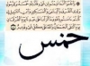 خمس آل محمد کا حق تھا لیکن خلفاﺀ نے دینے سے انکار کیا ۔۔۔<font color=red size=-1>- آراء: 0</font>