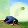 Do the Sunnite say ‘’ In The Name Of Allah’’ in their reciting of Surah in their own prayers?