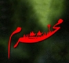 شیعوں کا امام حسین(ع) کو قتل کرنا۔<font color=red size=-1>- مشاہدات: 9743</font>