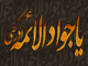 امامت امام جواد (ع) ، شیعہ روایات کی روشنی میں<font color=red size=-1>- مشاہدات: 7737</font>