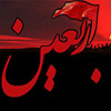 امام حسین (ع) اور زیارت اربعین<font color=red size=-1>- مشاہدات: 12087</font>